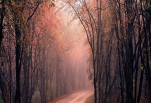 浙江男篮客场击败青岛队，继续进步