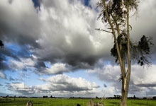 开拓者队主力球员训练照曝光，球迷纷纷点赞