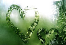 博洛尼亚主场未能取胜，铁杆球迷沉默