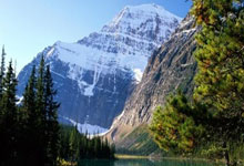 雄鹿队长连续表现稳定，球队战绩逐渐上升