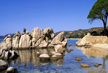 立陶宛队突围欧锦赛，勇往直前贯彻拼搏